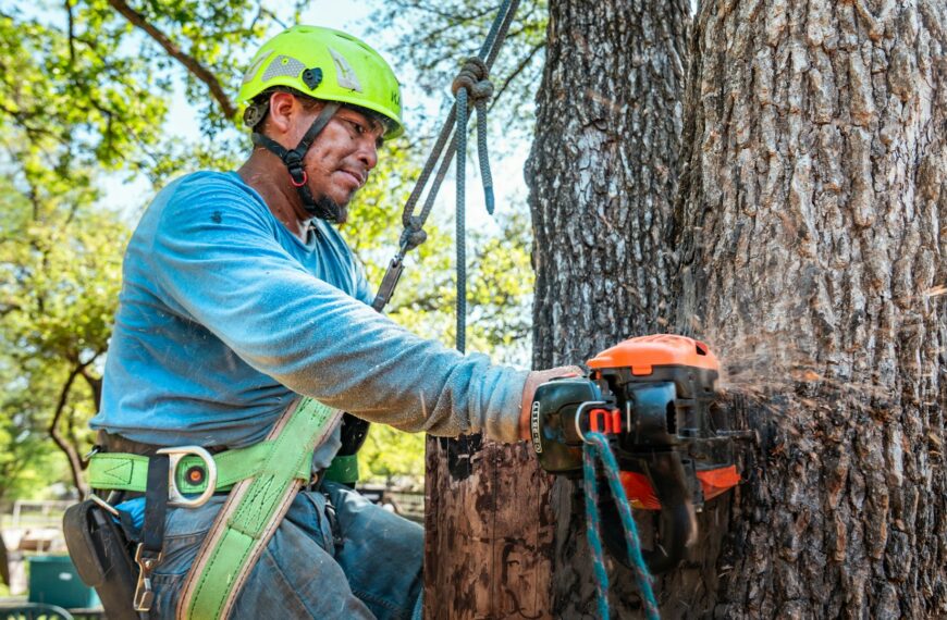Abattage d’arbre en jardin privatif de copropriété : démarches et règles